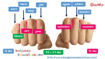 Meses del año truco nudillos