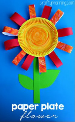 Platos de plástico o de papel (32)