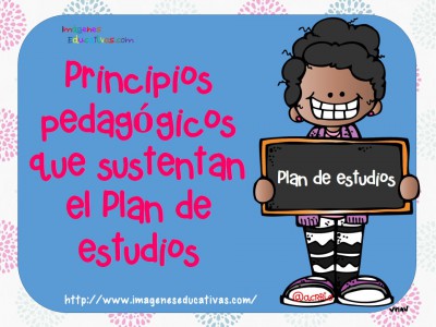 Principios pedagógicosque sustentan el Plan de estudios (1)