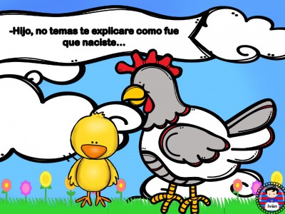 El-pollito-Pipo.-012