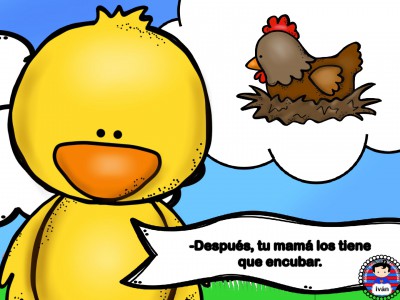 El-pollito-Pipo.-015