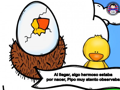 El-pollito-Pipo.-020