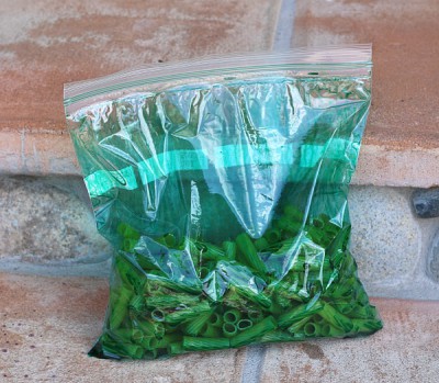 Teñir pasta (2)