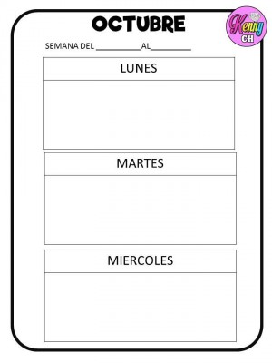 SEMÁFOROS DE CONDUCTA (13)