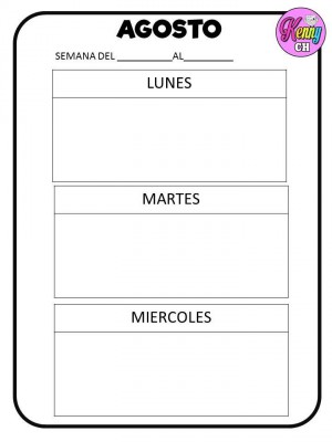 SEMÁFOROS DE CONDUCTA (7)