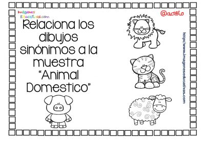 Cuaderno de trabajo SINÓNIMOS vs ANTÓNIMOS (2)