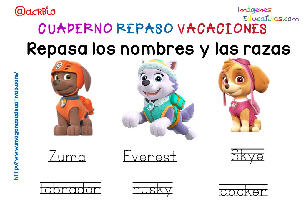 Cuderno de repaso para vacaciones Patrulla Canina (12)