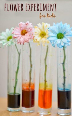 Experimentos colores (4)