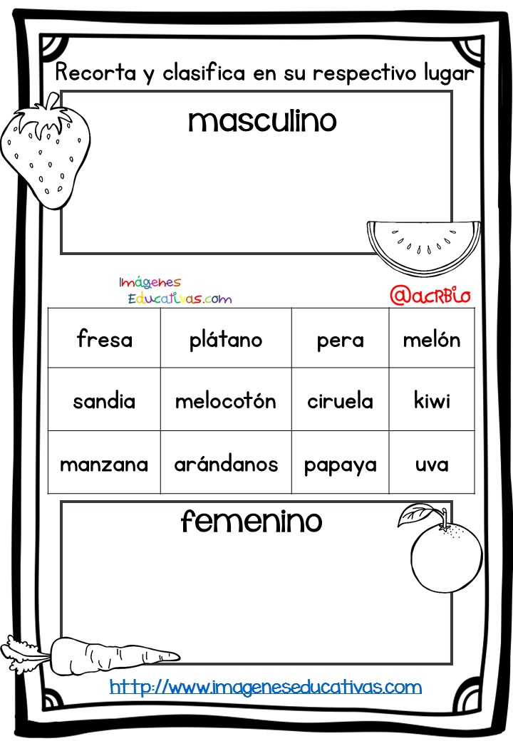 Fichas de repaso singular plural masculino y femenino (4)