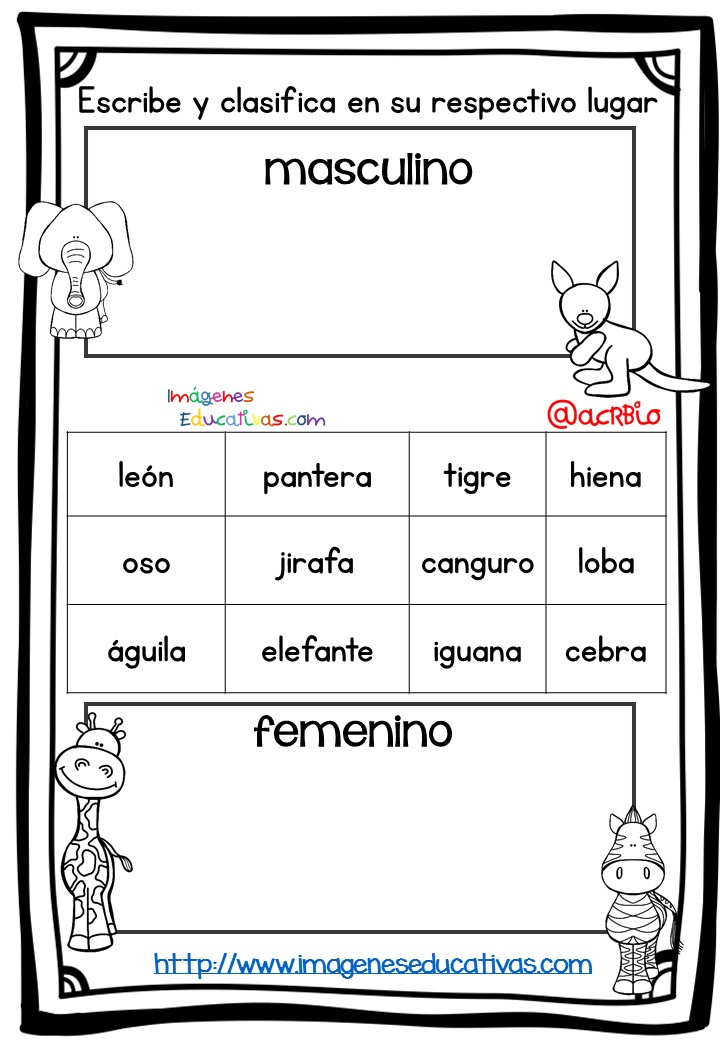 Fichas de repaso singular plural masculino y femenino (5)