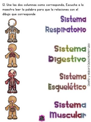 Fichas examen dificultad MEDIA infantil y preescolar (12)