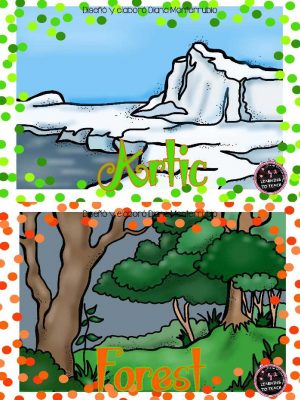 Tarjetas De Animales De Zoológico Y Hábitats (11)