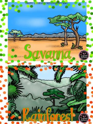Tarjetas De Animales De Zoológico Y Hábitats (13)