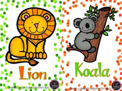 Tarjetas De Animales De Zoológico Y Hábitats (14)