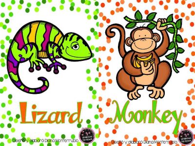Tarjetas De Animales De Zoológico Y Hábitats (15)