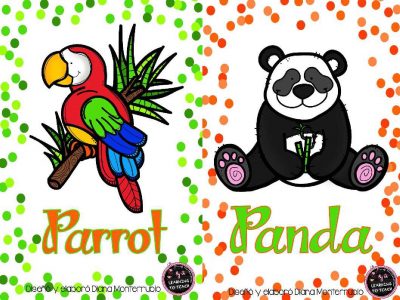 Tarjetas De Animales De Zoológico Y Hábitats (16)