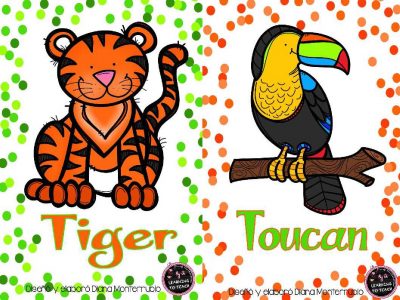 Tarjetas De Animales De Zoológico Y Hábitats (19)