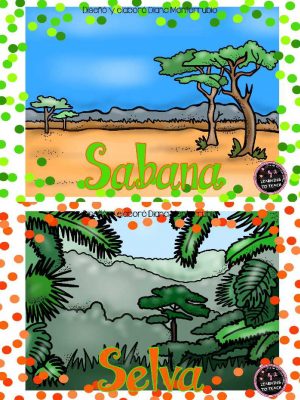 Tarjetas De Animales De Zoológico Y Hábitats (2)