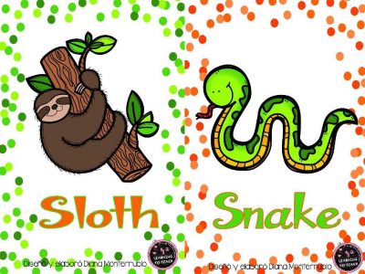Tarjetas De Animales De Zoológico Y Hábitats (20)