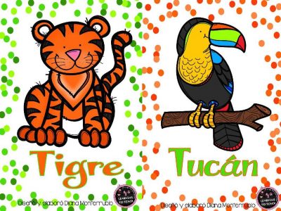 Tarjetas De Animales De Zoológico Y Hábitats (4)