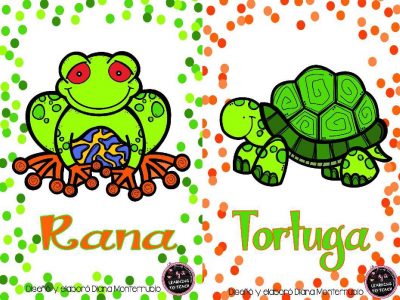 Tarjetas De Animales De Zoológico Y Hábitats (6)