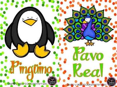 Tarjetas De Animales De Zoológico Y Hábitats (7)