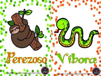 Tarjetas De Animales De Zoológico Y Hábitats (8)