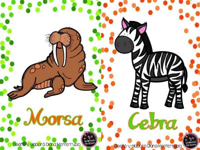 Tarjetas De Animales De Zoológico Y Hábitats (9)