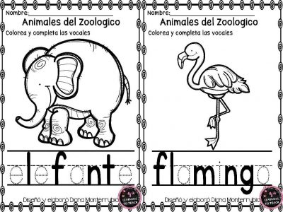 actividades-animales-de-zoologico-11