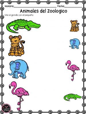 actividades-animales-de-zoologico-25