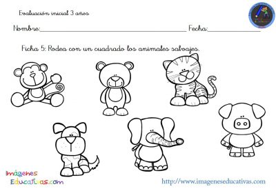 Evaluación inicial Educación Infantil 3 AÑOS (6)