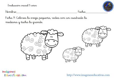 evaluacion-inicial-educacion-infantil-5-anos-10