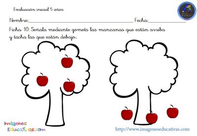 evaluacion-inicial-educacion-infantil-5-anos-11