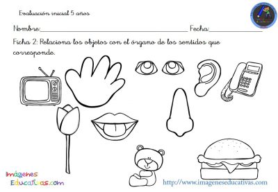 evaluacion-inicial-educacion-infantil-5-anos-3