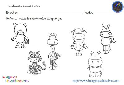 evaluacion-inicial-educacion-infantil-5-anos-6