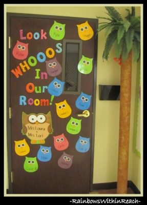 puertas-y-decoraciones-con-buhos-8