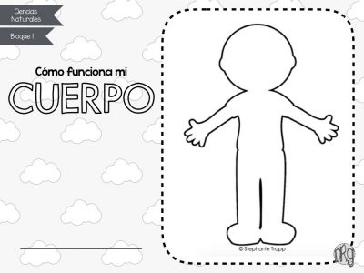 como-funciona-nuestro-cuerpo-1