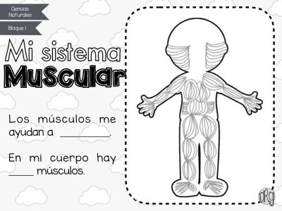 como-funciona-nuestro-cuerpo-2