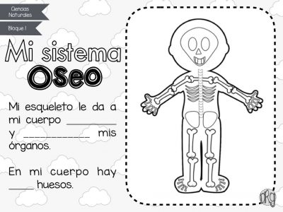 como-funciona-nuestro-cuerpo-3