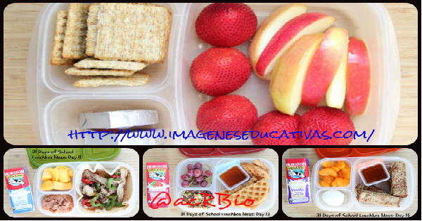 31 Almuerzos saludables para niñ@s de edad escolar en imágenes – Imagenes  Educativas