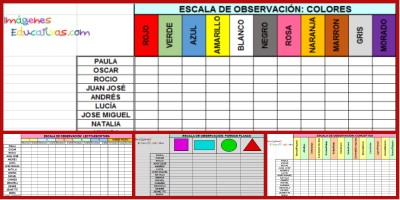 Registro de Observación Portada