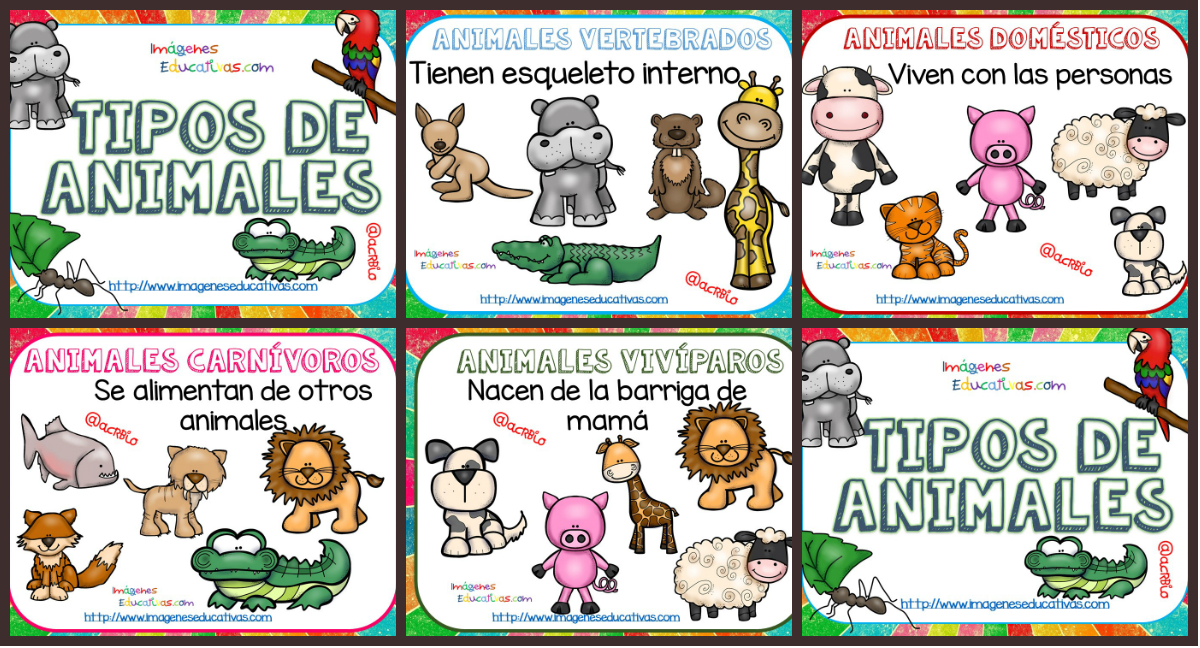 Tipos de animales Tarjetas explicativas Clasificación – Imagenes Educativas