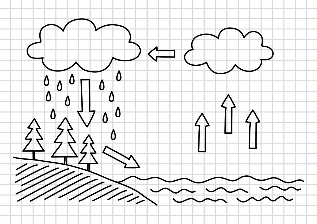 17740495 water cycle Imagenes Educativas