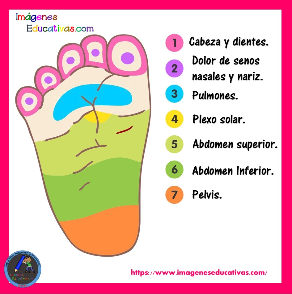 Pie Reflexologia Para Dolor De Ciatica Pierna Derecha Masajes Para