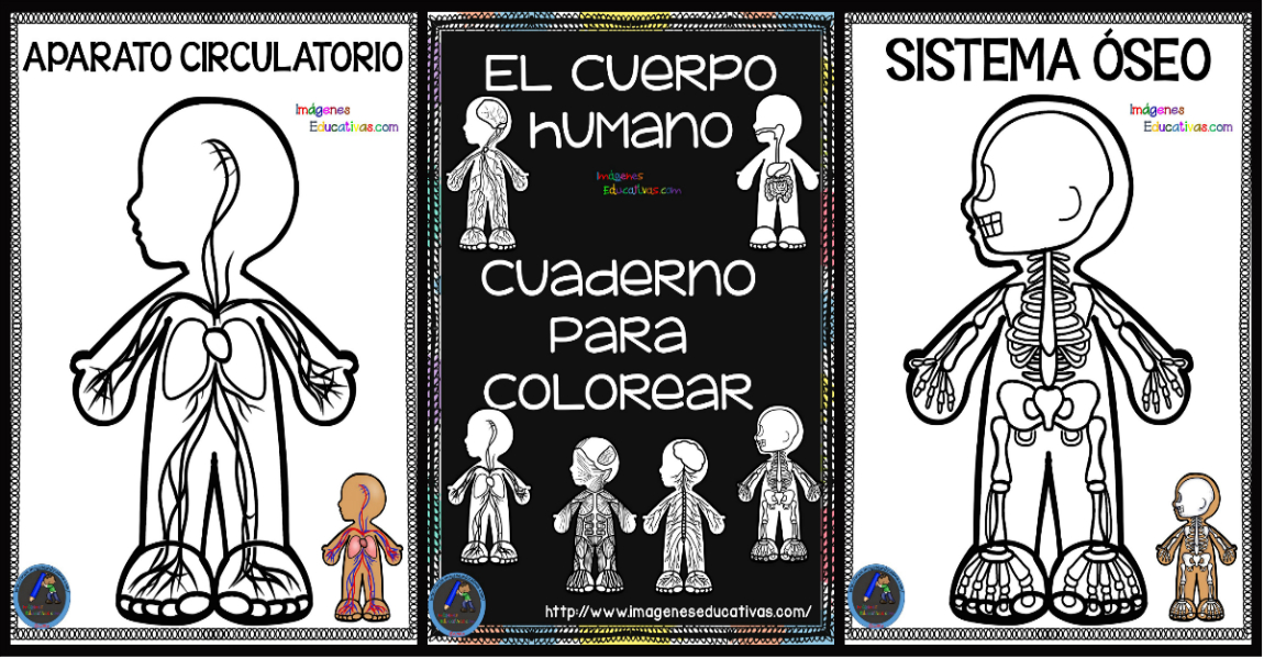 Cuaderno para colorear El Cuerpo Humano portada – Imagenes Educativas