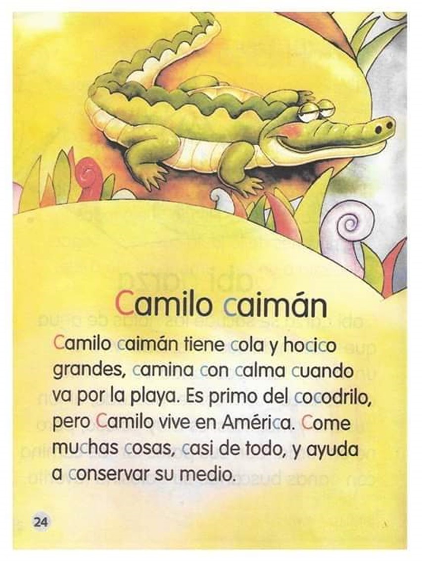 Libro De Lecturas Para Primaria 22 Imagenes Educativas