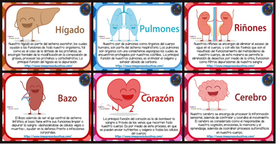 Como eliminar dioxido de carbono del cuerpo