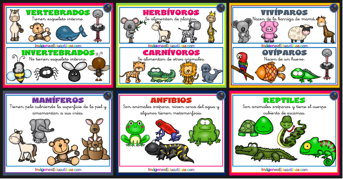 Tipos de animales TARJETAS PARA PLASTIFICAR – Imagenes Educativas