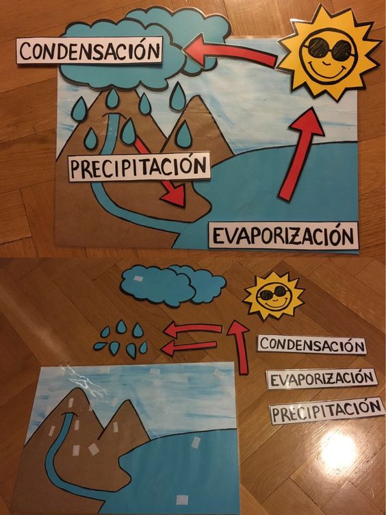 Ciclo Del Agua 7 Imagenes Educativas