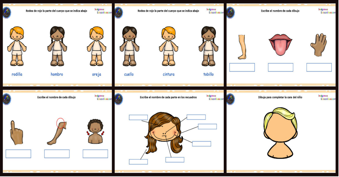 Excursión Género Impermeable Cuaderno de actividades para aprender las partes del cuerpo. – Imagenes Educativas Excursión Género Impermeable Cuaderno de actividades para aprender las partes del cuerpo. – Imagenes Educativas